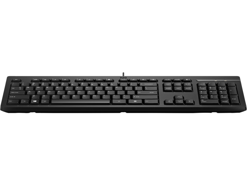 Проводная клавиатура HP 125 (266C9AA) Проводная клавиатура HP 125 (266C9AA)