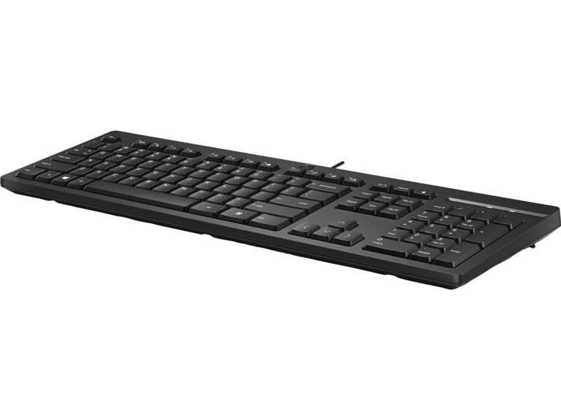 Проводная клавиатура HP 125 (266C9AA) Проводная клавиатура HP 125 (266C9AA)