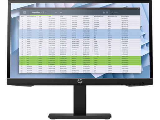 HP P22h G4