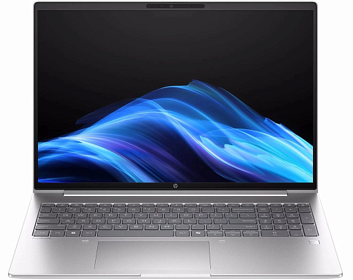 Ноутбук HP ProBook 4 G1i Ultra 5 225U 16Gb SSD512Gb Intel Graphics 14" IPS WUXGA (1920x1200) Windows 11 Pro silver WiFi BT Cam (C2NL7UT)