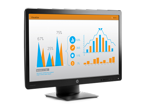 HP ProDisplay P232