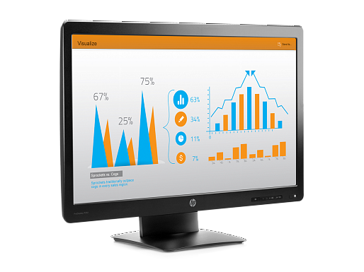 HP ProDisplay P232