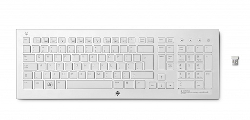 HP Wireless K5510 Keyboard